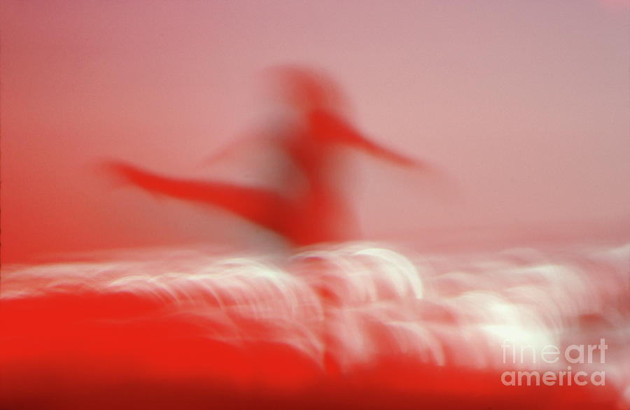 Shaping A Flight Of Joy Photograph By Wernher Krutein Fine Art America