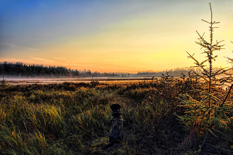 Sharing A September Sunrise With a Retriever Photograph by Dale Kauzlaric