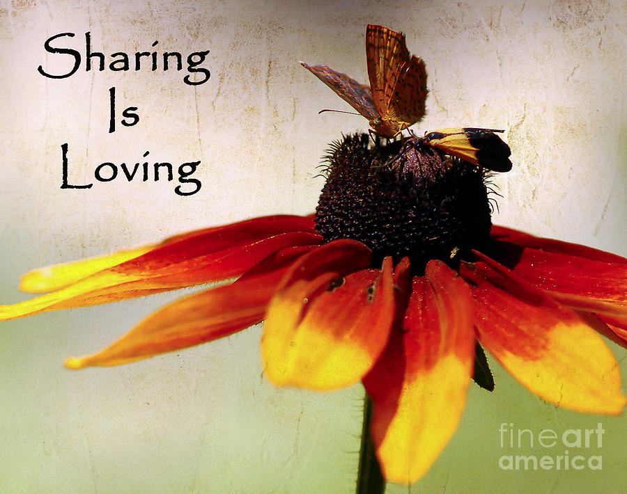 Sharing Is Loving Photograph by Kerri Farley