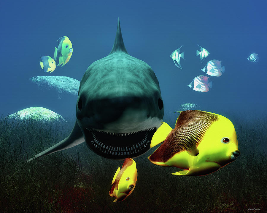 Fish Digital Art - Shark and fishes by Ramon Martinez