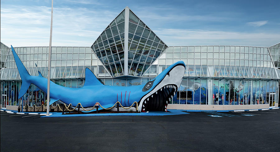 Shark Beach Store  panoramic Photograph by Gary Warnimont