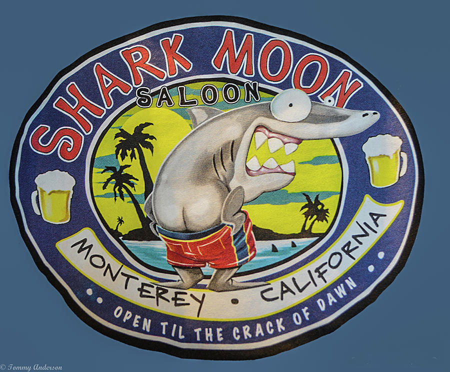 Sharks Photograph - Shark, Moon Saloon by Tommy Anderson