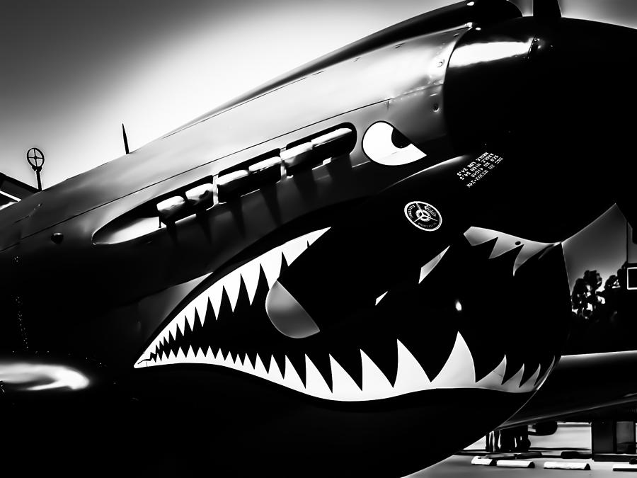 shark face plane