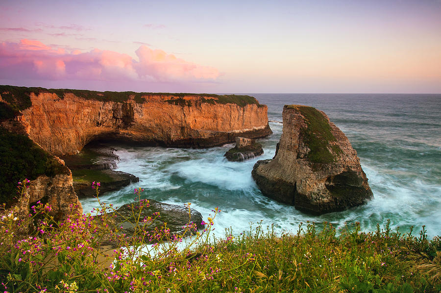 Shark Fin Cove Photograph by Catherine Lau