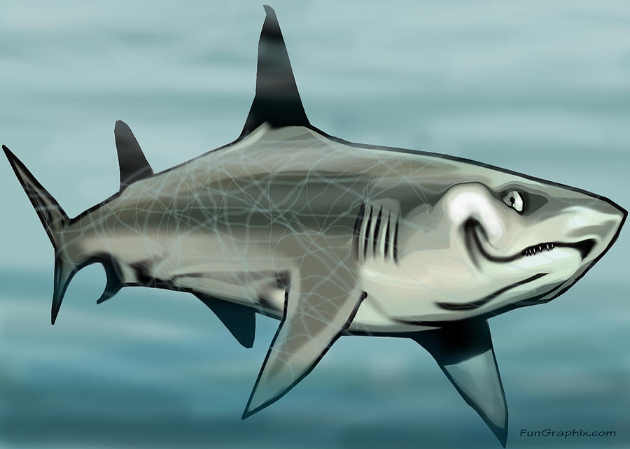 Sharks Painting - Shark by Kevin Middleton