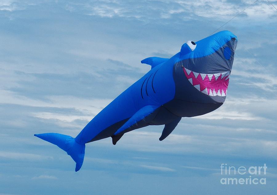 Lake Michigan Photograph - Shark Kite Flight by Snapshot Studio