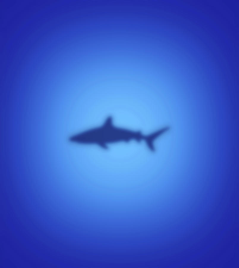 Shark Digital Art by Steve Ball