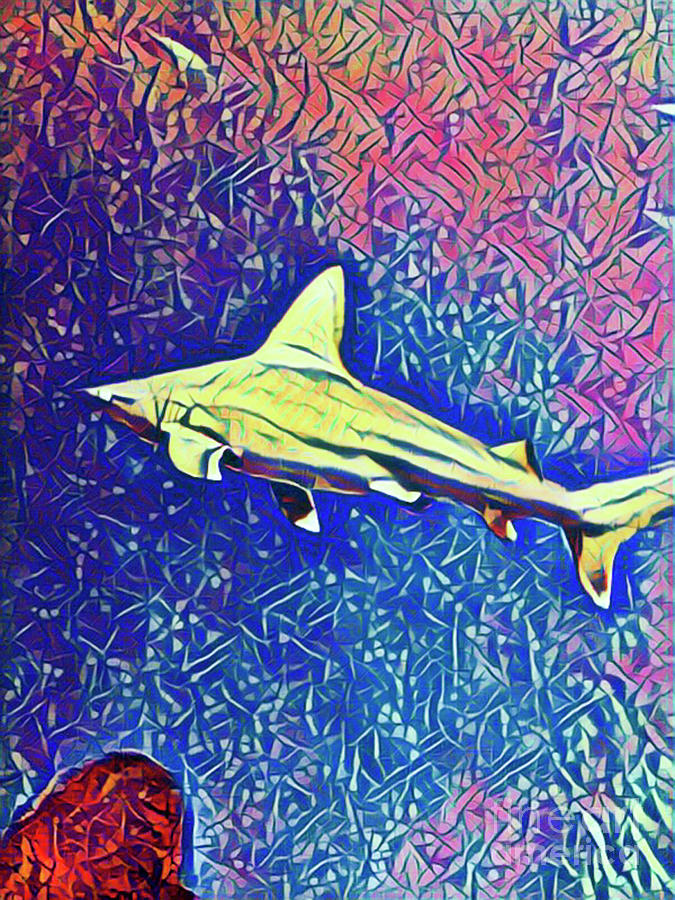 Fish Digital Art - Shark Tank by Jackie MacNair
