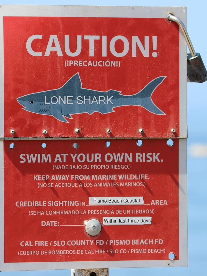 Shark Warning Sign Pismo Beach Photograph by Gary Canant - Pixels