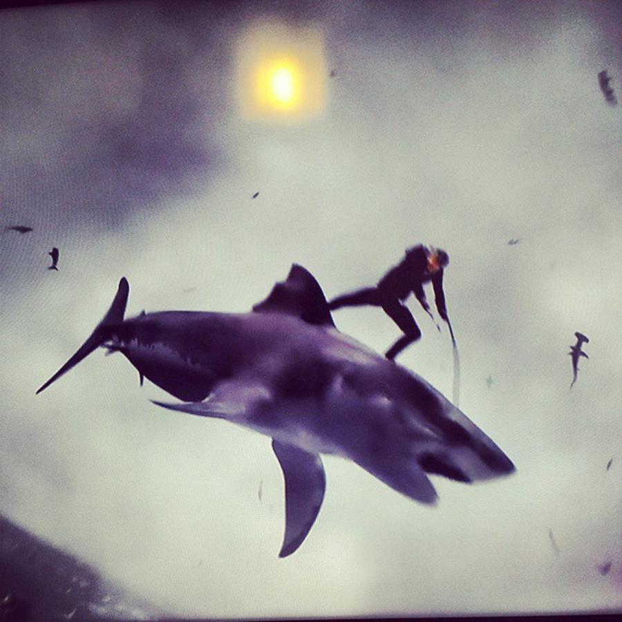 Sharks Photograph - #sharknado #sharknado2 #bmovie #movie by Abdurrahman Ozlem