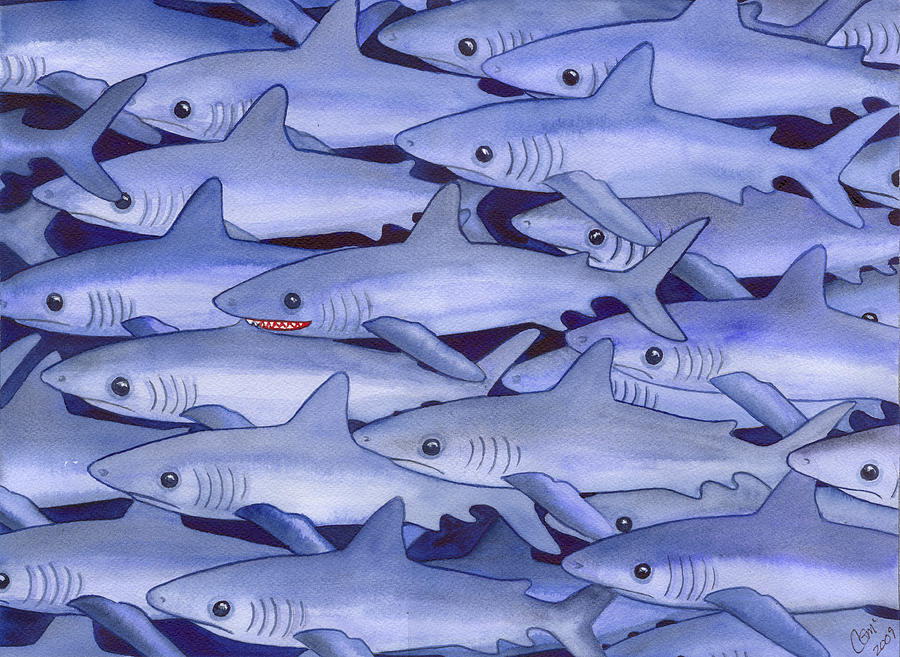 Fish Painting - Sharks by Catherine G McElroy