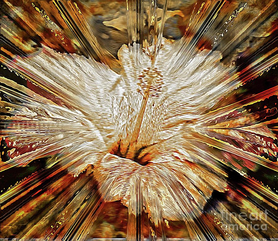 Abstract Photograph - Sharons Rose by Geraldine DeBoer