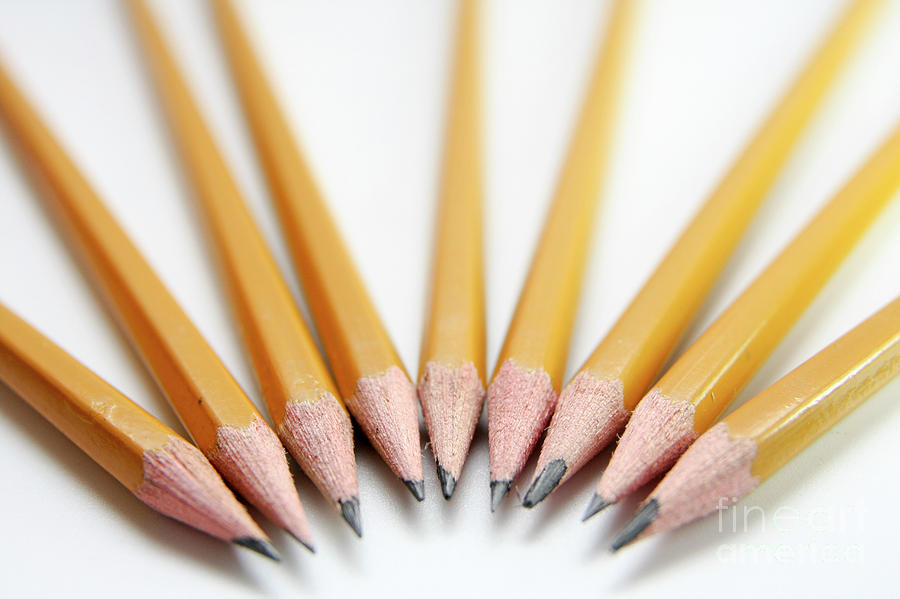 Sharp Pencils Photograph by Yedidya yos mizrachi