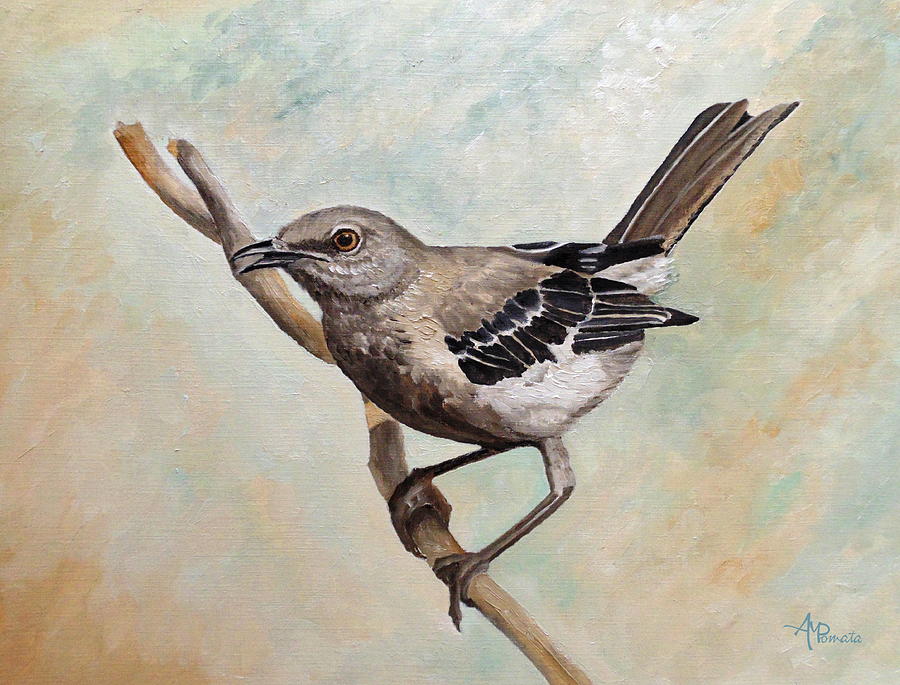 Mockingbird Painting - Sharp-Eyed Mockingbird by Angeles M Pomata