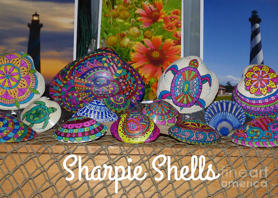 Sharpie Shells Still Life Photograph by Jean Wright