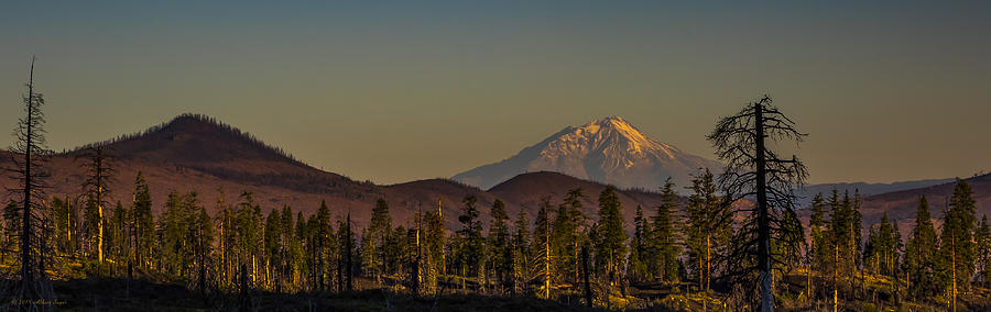 Mt Shasta from Hat Creek Photograph by Albert Seger