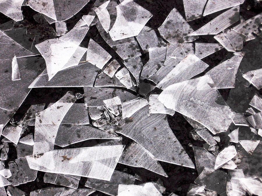 Shattered - Black and White Photograph by Lori Kingston