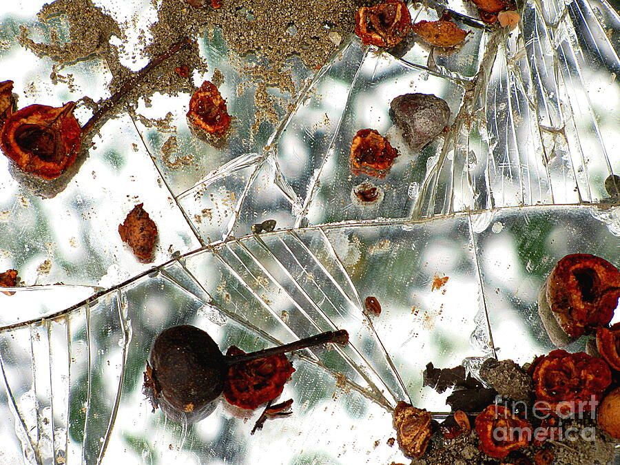 Abstract Photograph - Shattered by Colleen Kammerer