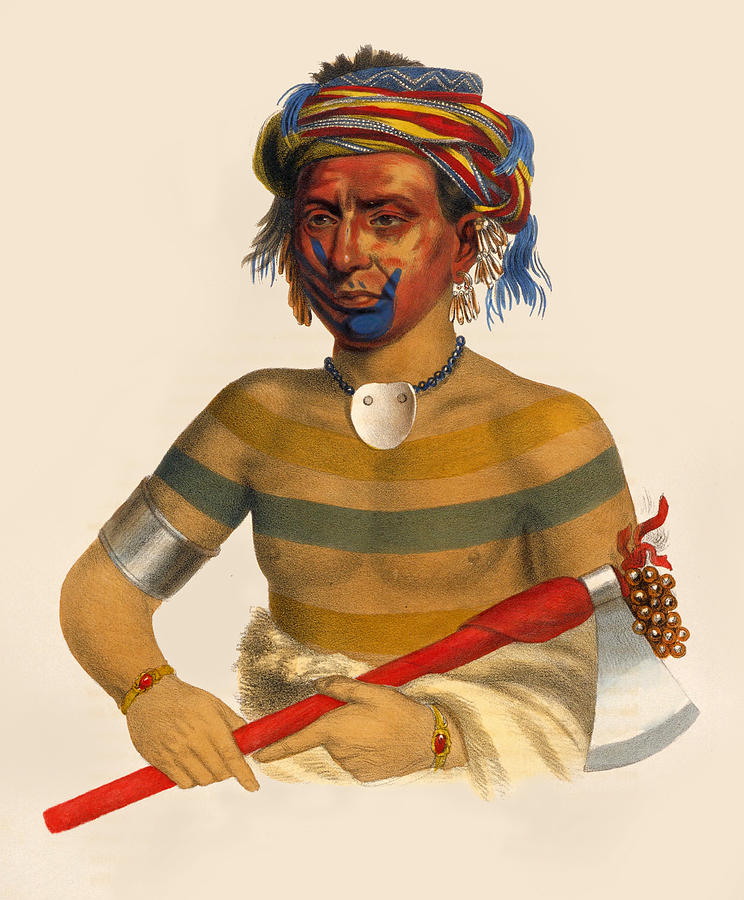 Shau-hau-napo-tinia an Ioway chief Drawing by Unknown