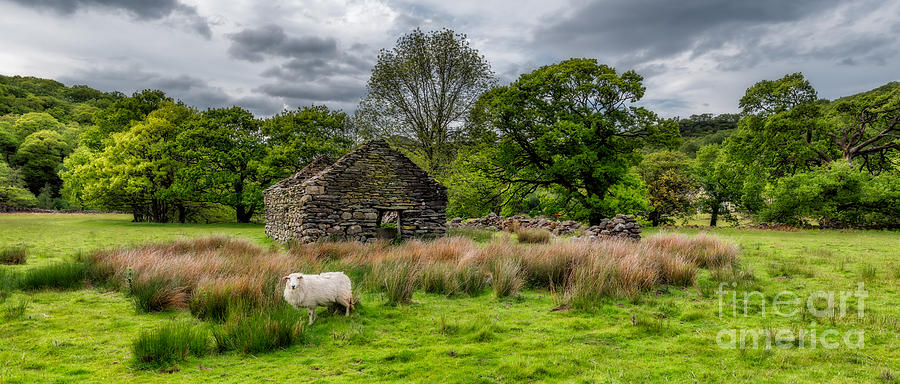 Welsh Cottage Ruin #1 Photograph by Adrian Evans