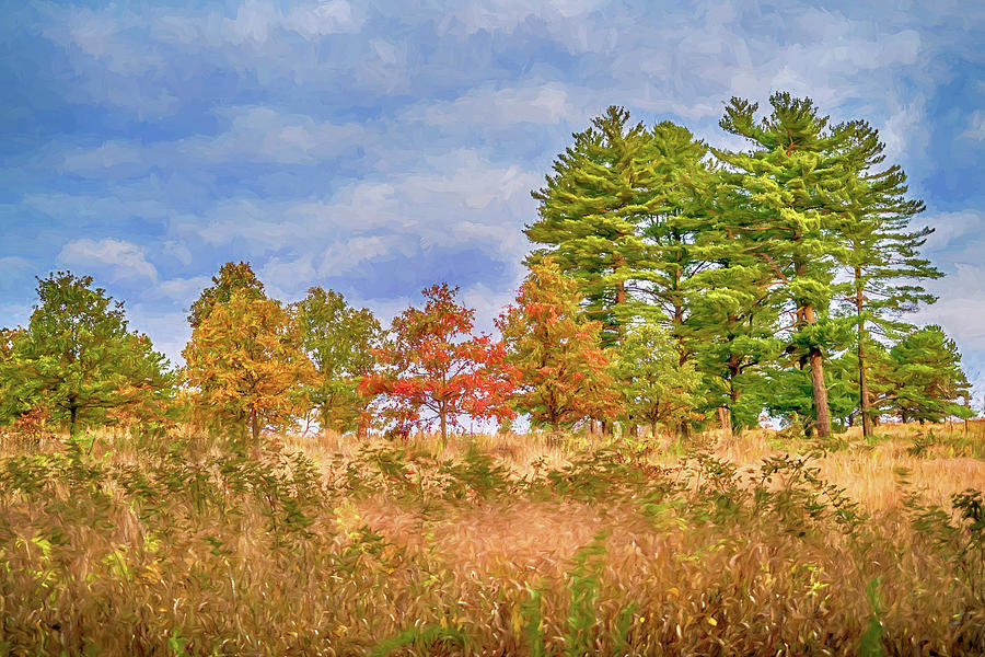 Shaw Nature Reserve Photo Painting 7R2_DSC2560_10242017 Photograph by Greg Kluempers