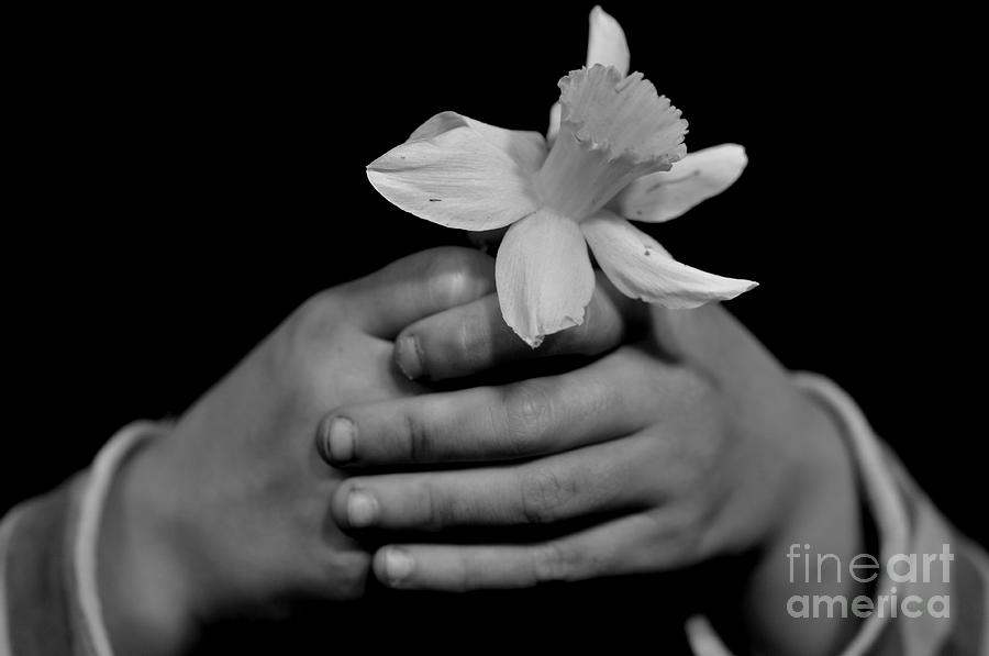 Black And White Photograph - Shawnas Flower by Misty Achenbach