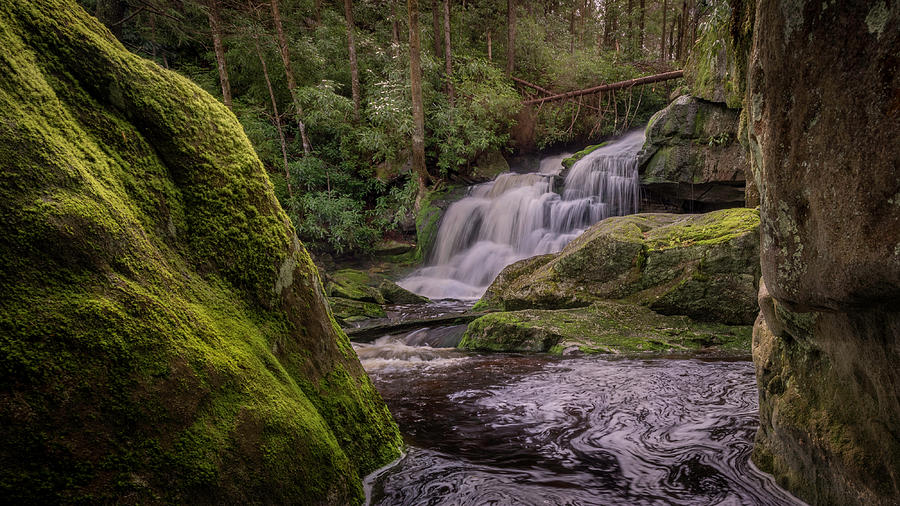 Spring Photograph - Shays Run by Michael Donahue