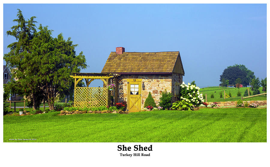 She Shed Photograph by David Speace