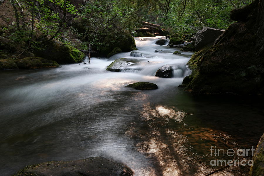 Nature Photograph - She was like the river by Jeff Swan