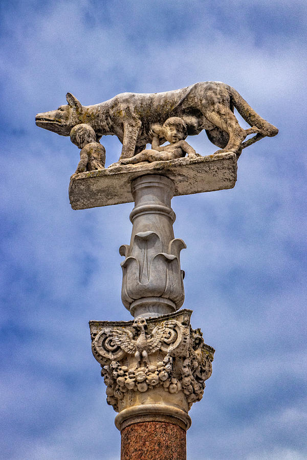 She Wolf, Symbol of Siena Photograph by Carolyn Derstine