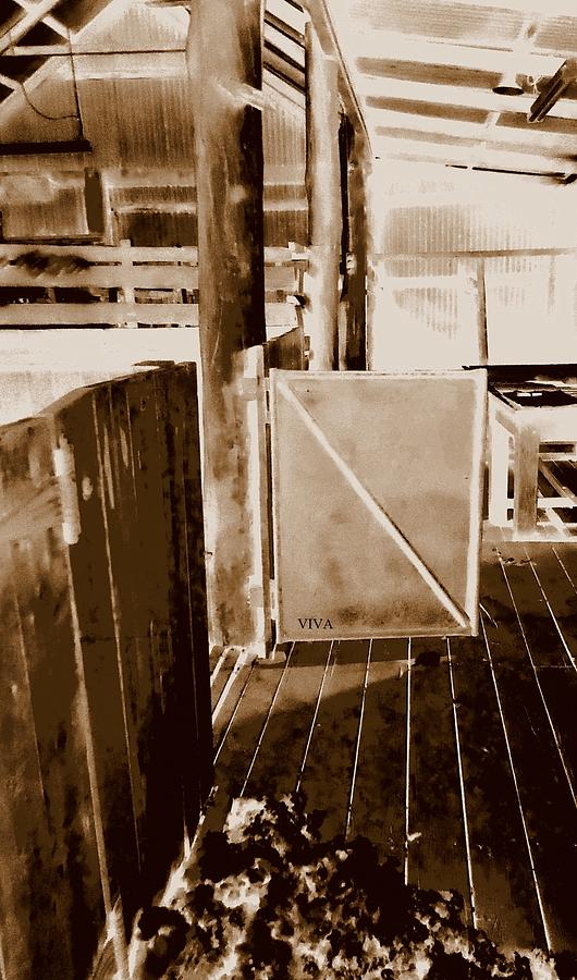 Shearing Shed Australia. -  Sepia Photograph by VIVA Anderson