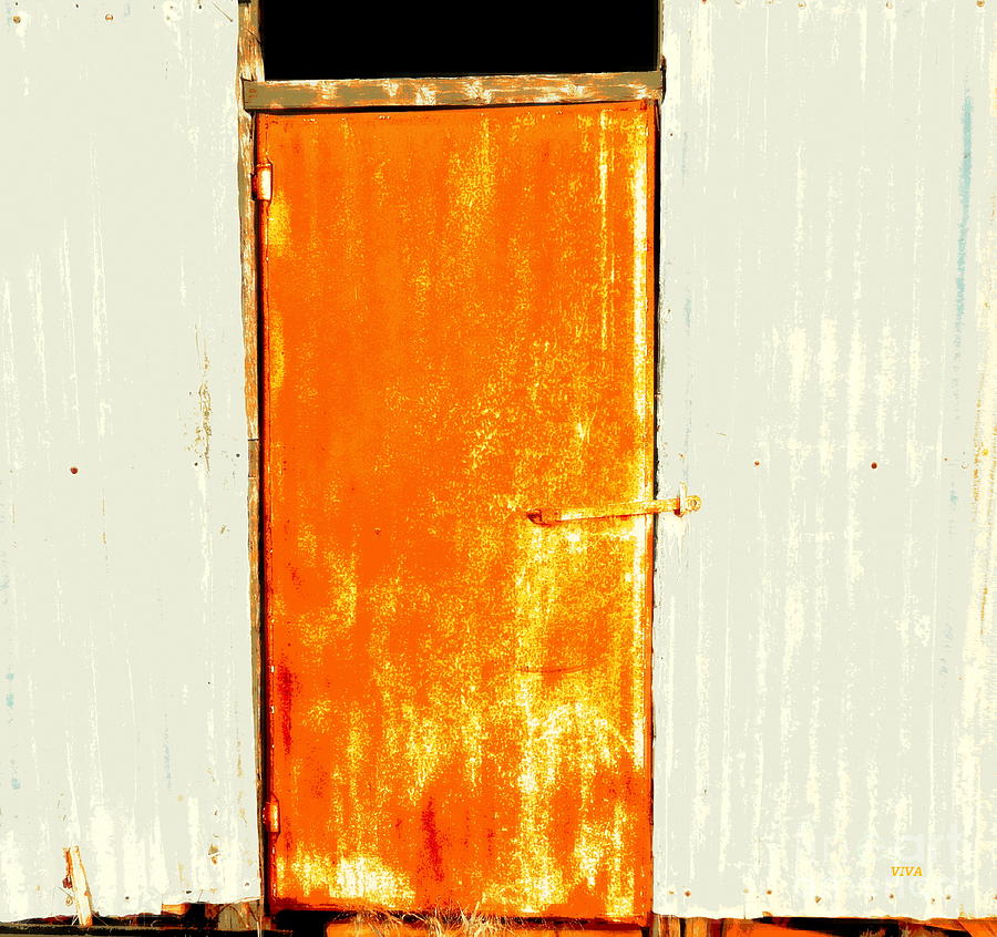 Shearing Shed Door 2 Photograph by VIVA Anderson