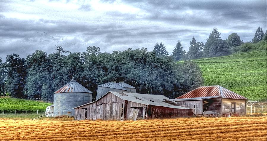 Shed and Grain Bins 17238 Photograph by Jerry Sodorff