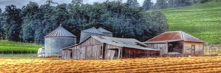 Shed and Grain Bins 17238 P Photograph by Jerry Sodorff