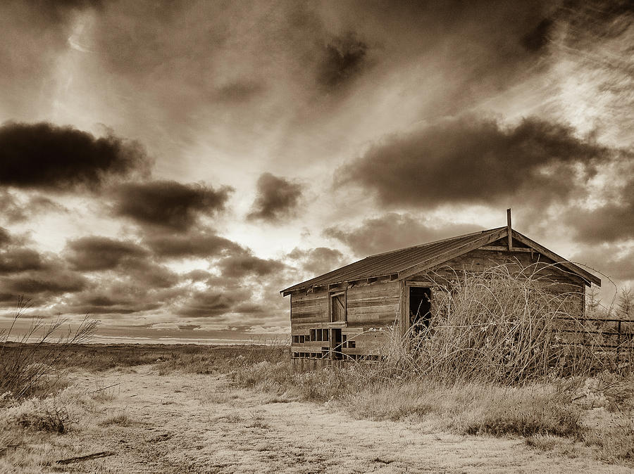 Shed at Dusk Photograph by Greg Nyquist