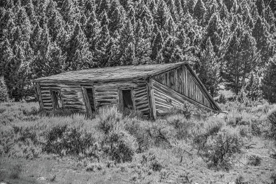 Shed in the Woods Photograph by Richard J Cassato