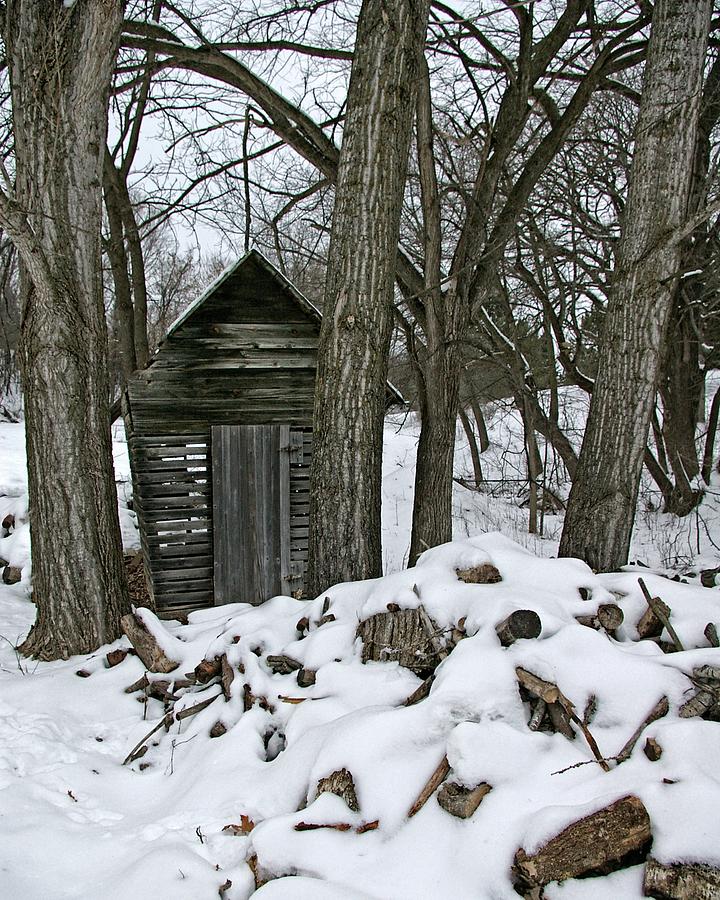 Winter Photograph - Shed In The Woods by Tom Reynen