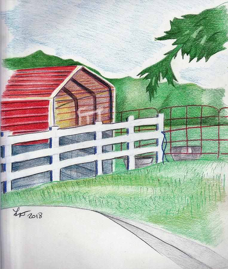 Shed Drawing by Loretta Nash