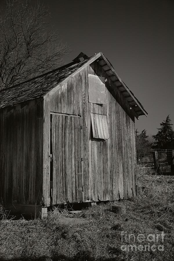 Shed No 1 9598 Photograph by Ken DePue