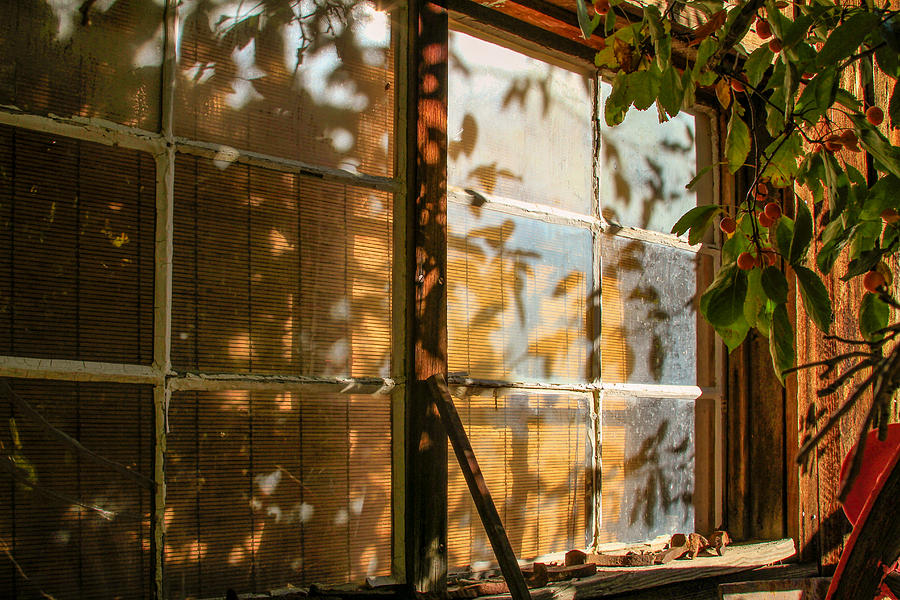 Shed Window Reflections Photograph by Bonnie Follett