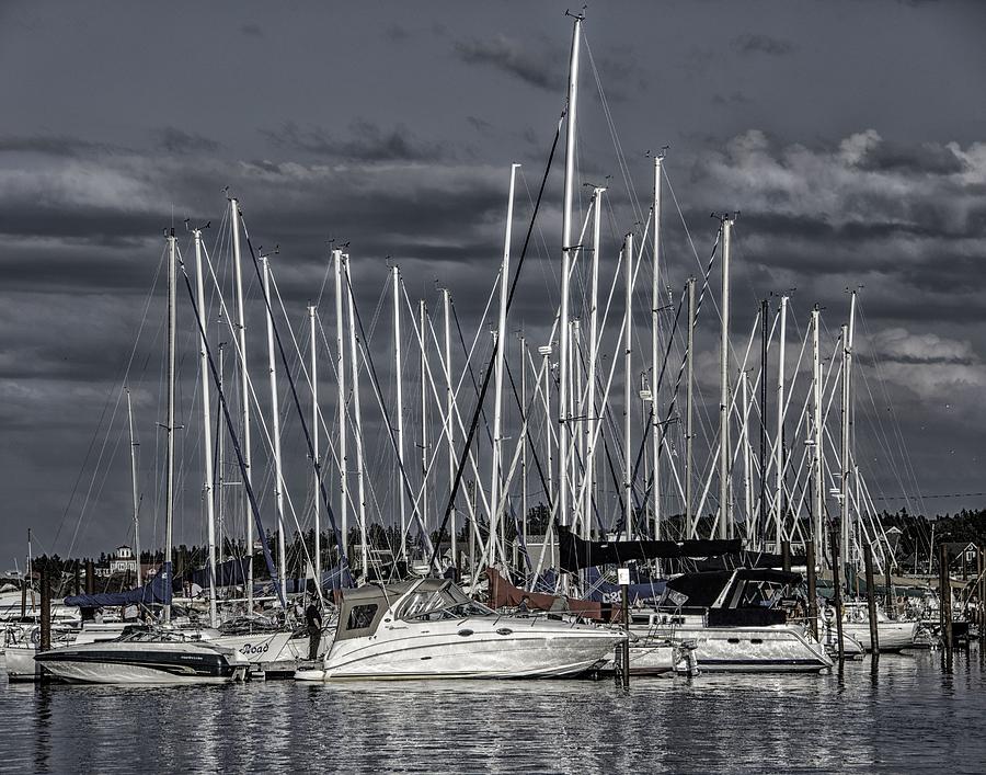 Shediac Marina and Yacht Club Photograph by Kathy Paynter