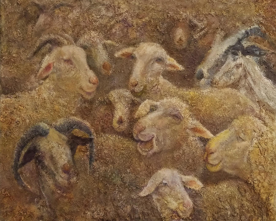 Sheep and Goats 2 Painting by Sylva Zalmanson | Fine Art America