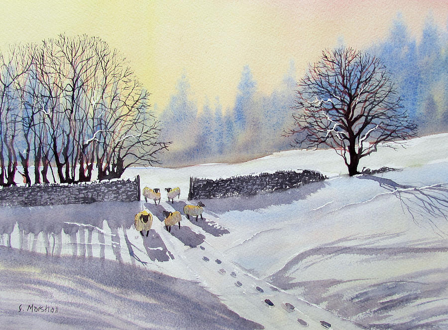 Sheep and Snow Study 2 Painting by Glenn Marshall