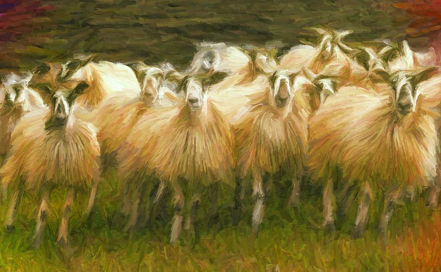 Sheep at Hadrians Wall Digital Art by Caito Junqueira