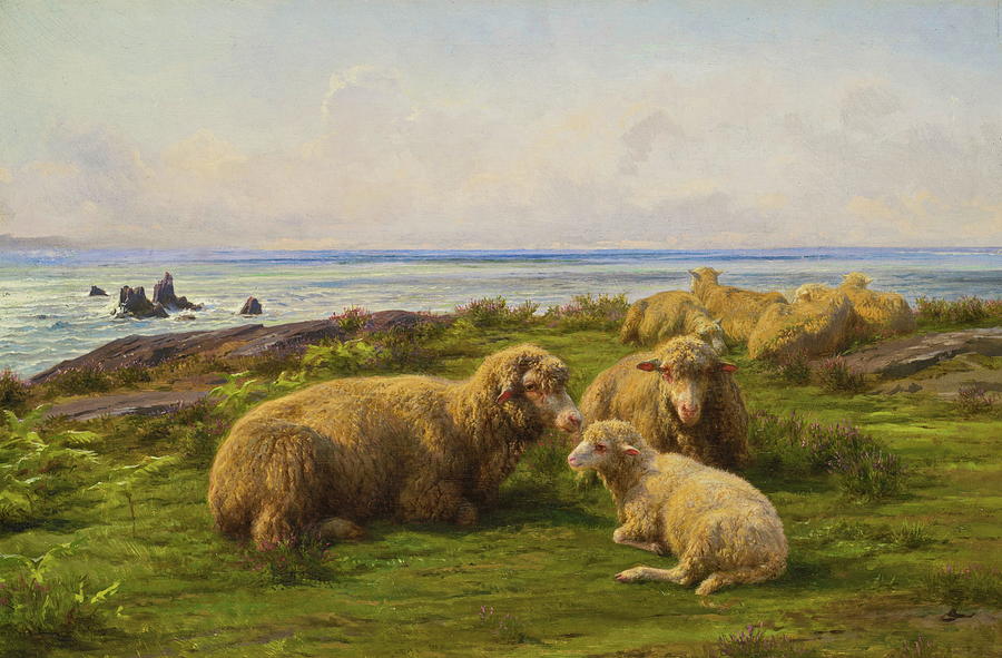 Rosa Bonheur Painting - Sheep by the Sea by Rosa Bonheur