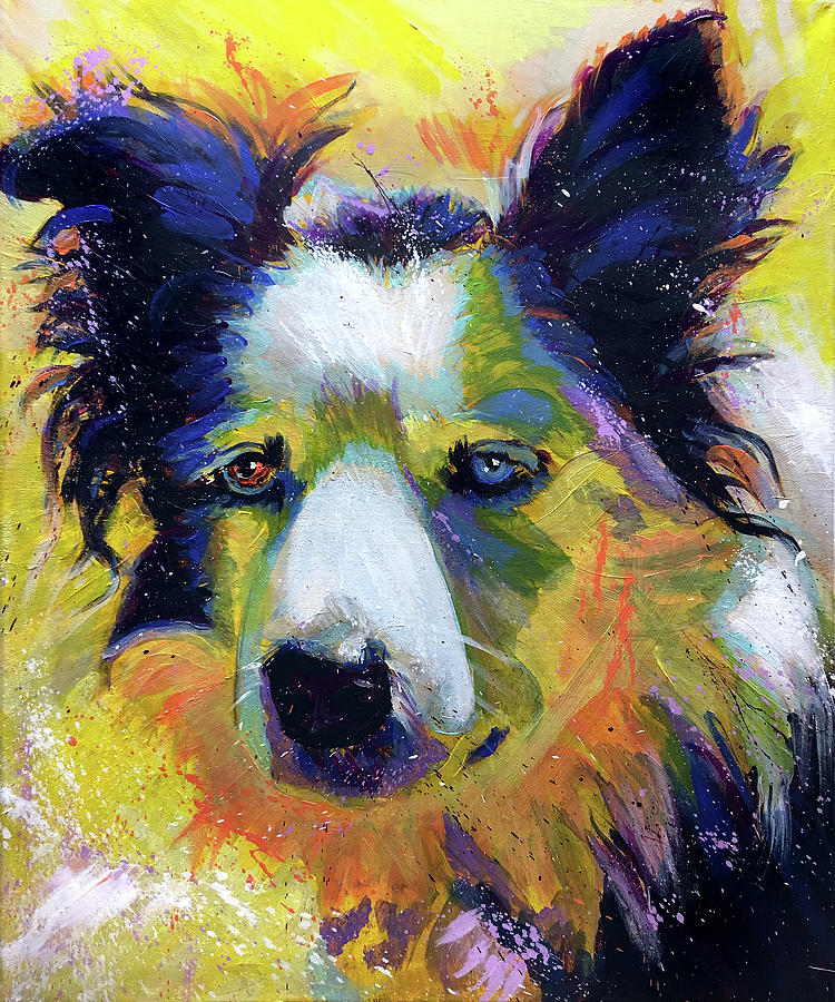 Sheep Dog Painting by Steve Gamba