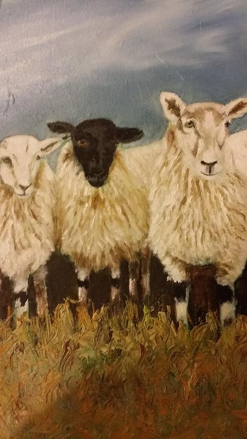 Sheep Photograph by Elizabeth Hoare Gregory