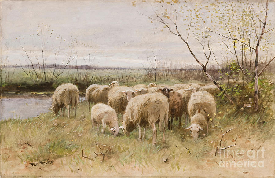 Spring Painting - Sheep by Francois Pieter ter Meulen