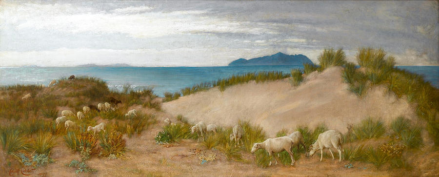 Goat Painting - Sheep grazing in the dunes on the Italian coast  by Edith Corbet