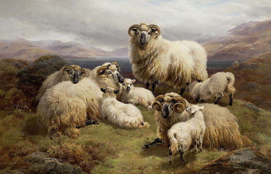 sheep landscape painting